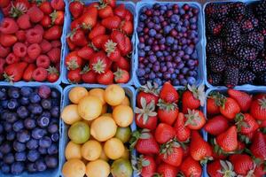 colorato Vettore di fresco frutta a agricoltori mercato, scoppiando con sapori di il estate raccogliere foto