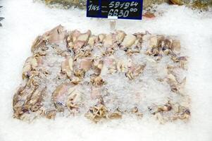 fresco frutti di mare su ghiaccio decorato per vendita a mercato foto