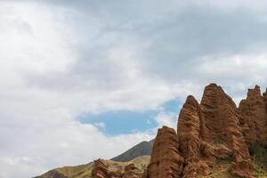 asino altopiano nel tien-shan montagna kazakistan foto