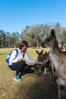 bellissimo ragazza con canguro nel il nazionale parco, brisbane, Australia foto