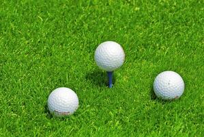 gioco nel il golf club contro il sfondo di il verde succoso erba foto