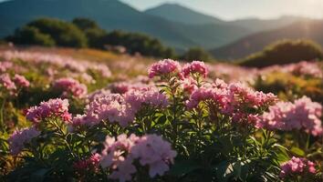 bellissimo fiori, montagne nel il sfondo foto