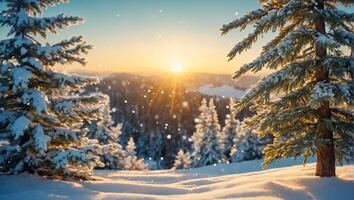 Natale albero ramo, neve foto