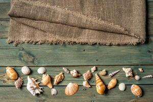 varietà di mare conchiglie su un' di legno sfondo foto