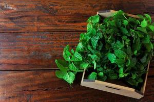 gruppo di menta fresca organica verde in cestino sopra la scrivania in legno rustico. menta piperita aromatica con usi medicinali e culinari foto