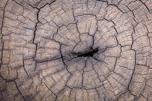 vecchia struttura di legno foto