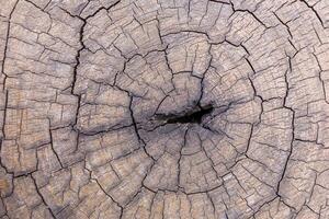 vecchia struttura di legno foto