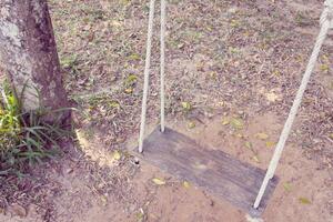 vecchio di legno albero swing foto