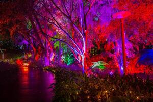 il magico incantata giardini nel roma strada parchi, brisbane, Australia. foto