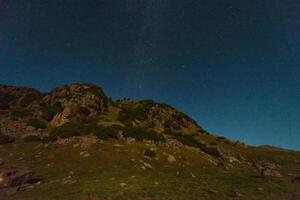 asino altopiano nel tien-shan montagna kazakistan foto