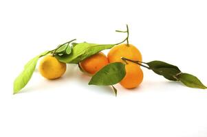 maturo mandarini su il bianca sfondo foto