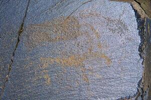 petroglifi entro il archeologico paesaggio di taggaly. almaty la zona, Kazakistan foto