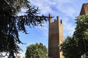 il Torre dona nel rovigo foto