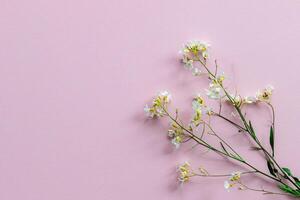 piccolo mazzo di selvaggio fiori su un' rosa sfondo foto