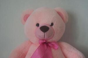 un' carino rosa orsacchiotto orso si siede contro un' parete foto