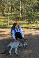 bellissimo ragazza con canguro nel il nazionale parco, brisbane, Australia foto