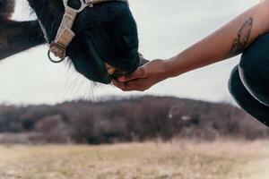 giovane contento donna con sua pony cavallo nel sera tramonto luce. all'aperto fotografia con moda modello ragazza. stile di vita umore. concetto di all'aperto cavalcare, gli sport e ricreazione. foto