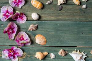 varietà di mare conchiglie e orhid fiori su un' di legno sfondo foto