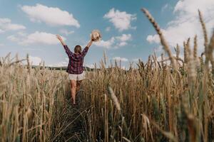 donna Grano campo. agronomo, donna contadino dai un'occhiata d'oro maturo orzo picchi nel coltivato campo. avvicinamento di femmina mano su piantagione nel agricolo Ritaglia gestione concetto. lento movimento foto