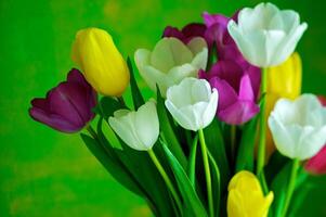 fioritura tulipani nel un' vaso. colorato fiori foto