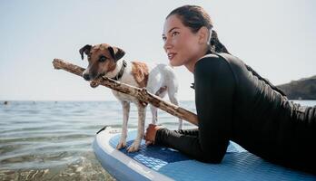 mare donna sup. silhouette di contento positivo giovane donna con sua cane, fare surf su cenare tavola attraverso calma acqua superficie. idilliaco tramonto. attivo stile di vita a mare o fiume. estate vacanza con animali domestici. foto