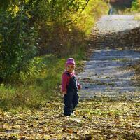 piccolo ragazza va per un' camminare su il autunnale parco foto