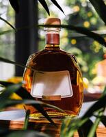 elegante whisky bottiglia con vuoto etichetta in mezzo verdura foto