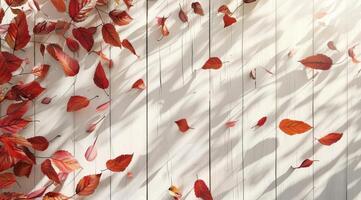 gruppo di rosso e arancia le foglie su bianca di legno superficie foto