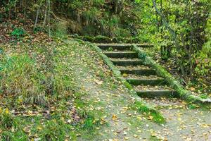 scala in pietra nella foresta ricoperta di foglie secche foto