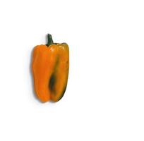 peperoni arancioni isolati su sfondo bianco. adatto per il tuo elemento di design alimentare. foto