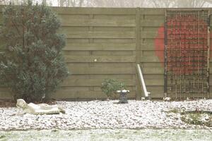 neve nel il giardino, Budda con neve foto