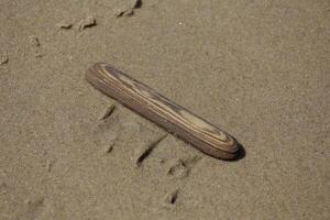 Driftwood nel il sabbia foto