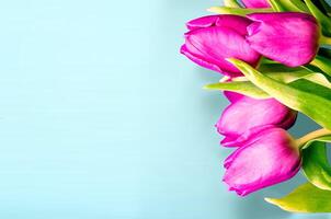 fresco fiore composizione, mazzo di bi colore tulipani foto