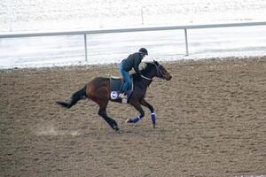 gara cavallo con fantini su il casa dritto. rasatura effetto. foto