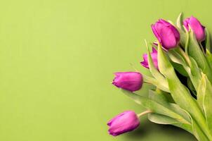 fresco fiore composizione, mazzo di bi colore tulipani foto