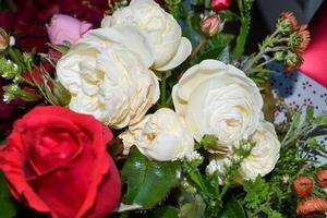 un' rosa rosa nel pieno fioritura. beautiul rosa fiore nel il giardino foto