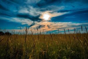 blu cielo beatitudine vivace cieli fare un cenno con calore e leggero foto