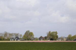 olandese paesaggio nel il primavera foto