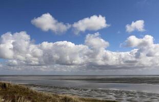 dune e spiaggia a Vlieland, isola nel il Olanda foto