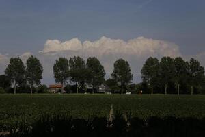 paesaggio nel il Olanda nel giugno foto