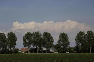 paesaggio nel il Olanda nel giugno foto