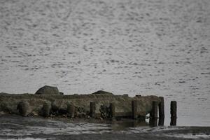 Visualizza al di sopra di il Wadden mare a partire dal Vlieland, Olanda foto