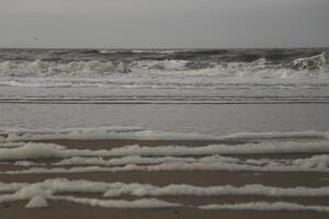 alto marea linea su il spiaggia, separazione fra mare e spiaggia foto