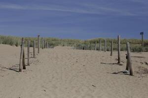 sentiero nel il dune conduce per il spiaggia, nord mare, Olanda, camperduin foto