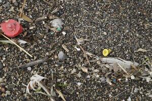 spiaggia dopo tempesta, Pericolo per marino vita, plastica sciupare, plastica Rifiuto, plastica, marino vita nel Pericolo, inquinanti persone foto