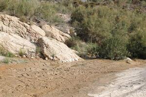 asciutto fango di il almanzora fiume, almeria foto