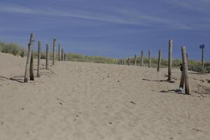 sentiero nel il dune conduce per il spiaggia, nord mare, Olanda, camperduin foto