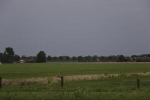 paesaggio nel il Olanda nel giugno foto