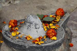 fiore offrire su un' shiva linga, hindi, Varanasi, India foto