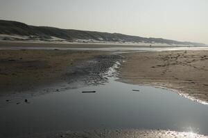 Stupefacente, mai visto esso prima, ghiaccio su il sale acqua e sabbia, spiaggia, nord mare, inverno nel il Olanda foto